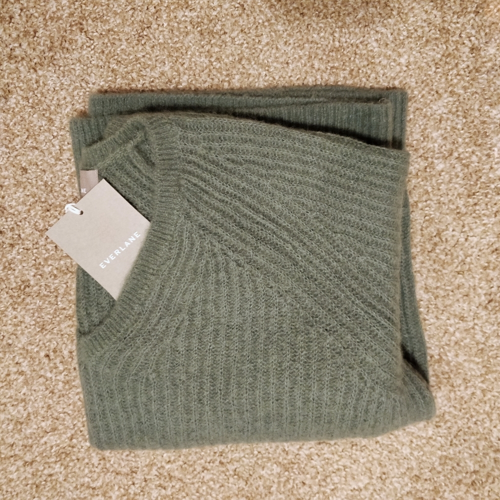 NWT Everlane Alpaca V-neck Sweater